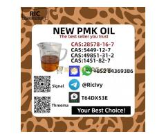 High-Quality P M K Oil CAS 28578-16-7 | Trusted Supplier