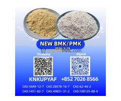 49851-31-2 P.M.K 28578-16-7 And 1451-82-7