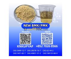 28578-16-7 Best Price P.MK B.MK Powder Oil CAS 5449-12-7