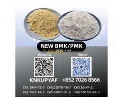 High Purity P.M.K Oil CAS CAS 28578-16-7 Direct Manufacturer 5449-12-7 28578-16-7 for