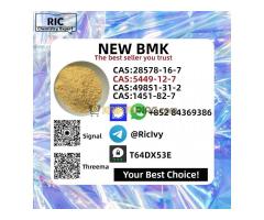 CAS 5449-12-7 B.MK P.MK Powder 28578-16-7 Factory Supply