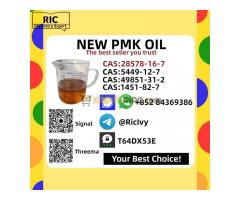 Best Quality PMK Oil Cas 28578-16-7, Cas 13605-48-6