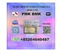 cas 28578-16-7 P-M-K  1369021-80-6 or B M K 5449-12-7 in Netherlands