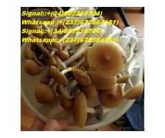 Signal::+(34)607218704) Buy Meth, cocaine, mephedrone, GHB, ephedrine, Zolpidem, mdma, Ketamine - Kép 4/4