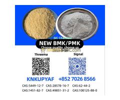 28578-16-7 P.MK Bulk Stock CAS 5449-12-7 B.MK Powder Oil