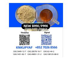 28578-16-7 P.MK Stock Supply B.MK CAS 5449-12-7 Powder/Oil