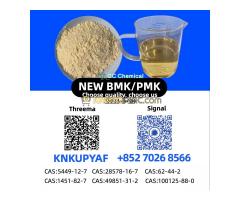 28578-16-7 P.MK Powder Immediate Shipment CAS 5449-12-7 B.MK