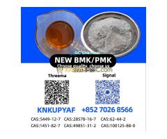 High Purity CAS 28578-16-7 P.M.K Oil  for Direct Manufacturer