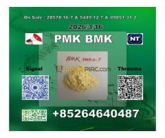Factory-direct pricing New BMK glycidic acid 5449-12-7 PMK 28578-16-7 - Kép 3/10