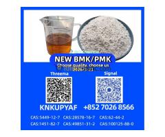 Bulk Stock 28578-16-7 P.M.K CAS 5449-12-7 New B..M.K Powder Oil