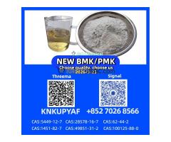 Stock Supply 28578-16-7 P.M.K B.M.K CAS 5449-12-7 New Powder/Oil