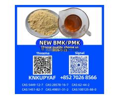 Immediate Shipment 28578-16-7 P.M.K CAS 5449-12-7 New B.M.K