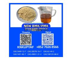 High-Quality 28578-16-7 PM.K New BM.K 5449-12-7