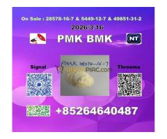 Hot Selling  P-M-K 28578-16-7  & B-M-K 5449-12-7 humanity from - Kép 4/10