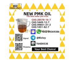 99% Purity 28578-16-7 P.MK Oil Suitable Shipping
