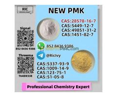 28578-16-7 New P.MK Fresh Production