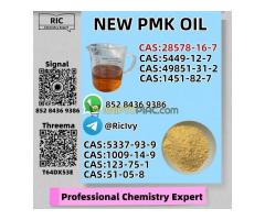 Chemical Safe Delivery CAS 28578-16-7 P.MK Oil