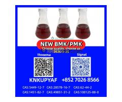 Large Quantity Supply of PM.K 28578-16-7 & BM.K 5449-12-7 Powder/Oil