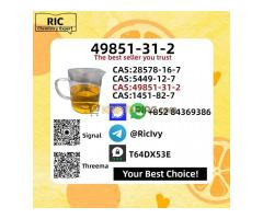 Premium Quality 49851-31-2 New B.MK Power CAS 5449-12-7