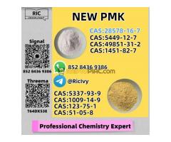 Luxury Grade New PM.K CAS 28578-16 -7 and 5449-12-7
