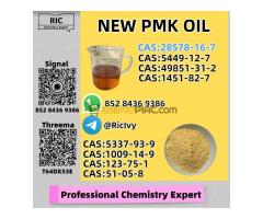 Elite Quality New P.MK Oil CAS 28578-16-7