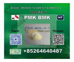 Supply China reliable supplier  PM.K CAS 28578-16 -7 and bmk 4676-39-5