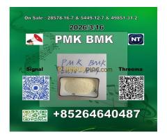 Supply China reliable supplier  PM.K CAS 28578-16 -7 and bmk 4676-39-5 - Kép 4/8