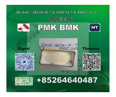 Supply China reliable supplier  PM.K CAS 28578-16 -7 and bmk 4676-39-5 - Kép 5/8