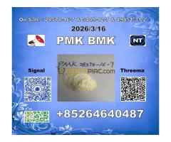 Supply China reliable supplier  PM.K CAS 28578-16 -7 and bmk 4676-39-5 - Kép 7/8