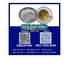 PM.K CAS 28578-16-7 Oil Export | BM.K 5449-12-7 Powder Supplier