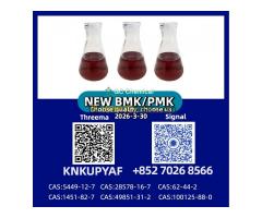 BM.K Powder 5449-12-7 | PM.K Oil 28578-16-7 Direct Factory