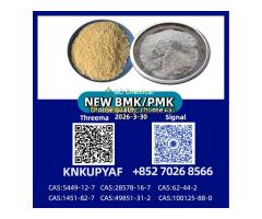 PM.K CAS 28578-16-7 Direct Export | Stable Quality & Reliable Shipping