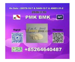 factory supply Global  P-M-K 28578-16-7 1369021-80-6 BM-K 5449-12-7 - Kép 5/8