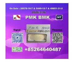 manufacturer  5449-12-7 BMK 28578-16-7 PMK  WITH SAFE DELIVER Y - Kép 5/9