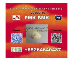 la menthe. New PM-K/BM-K CAS 1451-82-7,28578-16-7 Trusted Partner Supply 5449-12-7 - Kép 10/11