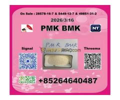 Hot Selling 28578-16-7 PMK New BM-K Powder CAS 5449-12-7  grand-père - Kép 10/12