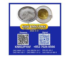 Quality Assured Materials PM.K 28578-16-7 with BM.K CAS 5449-12-7