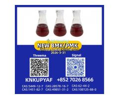 Reliable Partner PM.K 28578-16-7 with BM.K CAS 5449-12-7 & Timely Shipment