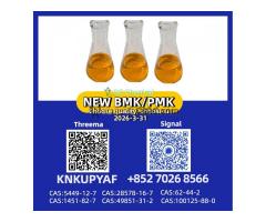 |Factory Direct PM.K 28578-16-7 with BM.K CAS 5449-12-7 & Cost-Effective Pricing