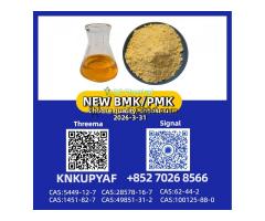 Worldwide Delivery PM.K 28578-16-7 with BM.K CAS 5449-12-7