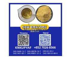 Trusted Exporter PM.K 28578-16-7 with BM.K CAS 5449-12-7