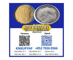 Direct Factory Source PM.K 28578-16-7 with BM.K CAS 5449-12-7 Competitive Pricing