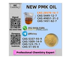 Secure Supply P.MK Oil  28578-16-7 and 1451-82-7 B.MK 5449-12-7