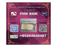 Supply China reliable supplier  PM.K CAS 28578-16 -7  find a human nose inside - Kép 2/5