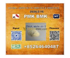 Raw Materials P-MK 28578-16-7 1369021-80-6 & B-MK 5449-12-7    in despair. Kovalyov spends - Kép 5/7