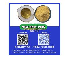PMK 28578-16-7 no problem, BMK 5449-12-7 and 1451-82-7 can ship
