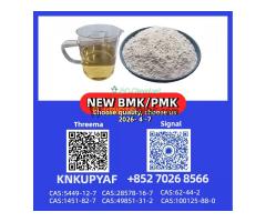 PM.K 28578-16-7 no problem, CAS BMK 5449-12-7 also in hand