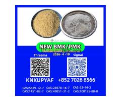 BMK 5449-12-7 and PMK 28578-16-7 warehouse still hasBMK 5449-12-7 and PMK 28578-16-7 warehouse still