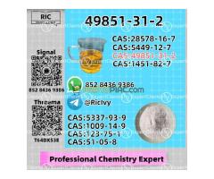 Released for transportation 49851-31-2 BM.K P.MK Supply