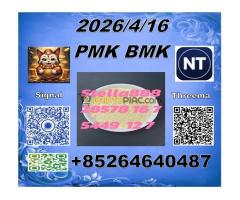 Hot selling PMK 28578-16-7 BMK 5449-12-7  El camarero, confundido, responde